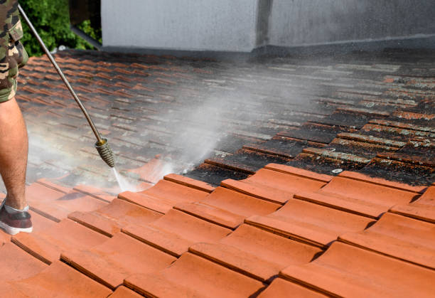 Best Pressure Washing Near Me  in Genoa City, WI