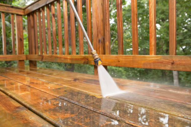 Best Affordable Power Washing  in Genoa City, WI