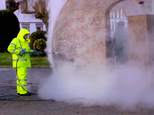 Best Affordable Pressure Washing  in Genoa City, WI